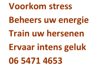 Voorkom stress     Beheers uw energie      Train uw hersenen   Ervaar intens geluk   06 5471 4653
